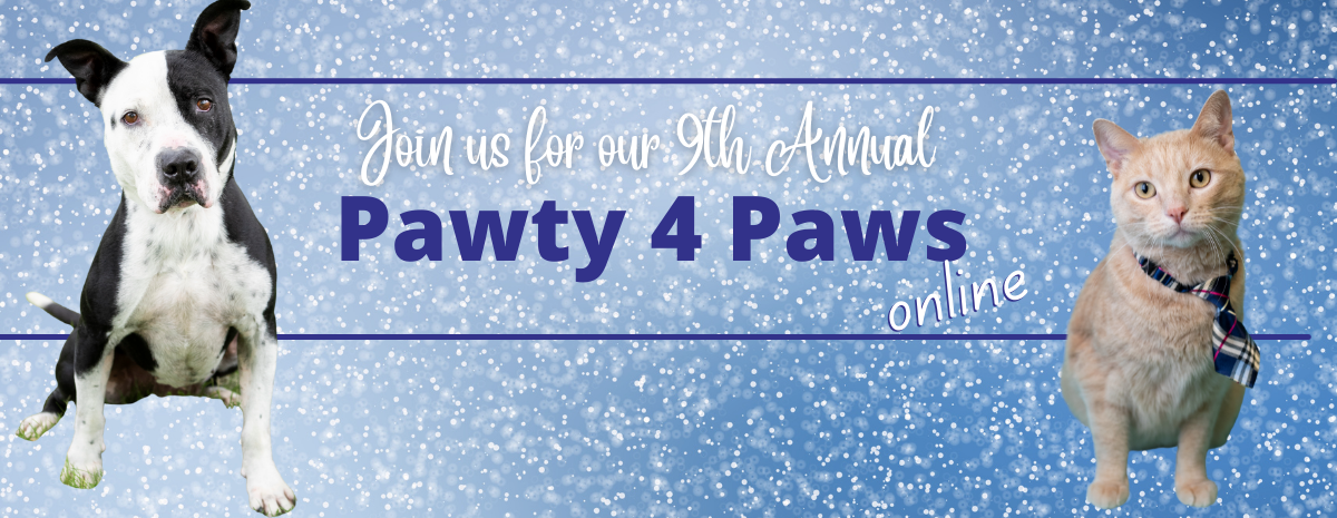 Pawty 4 Paws Online Auction